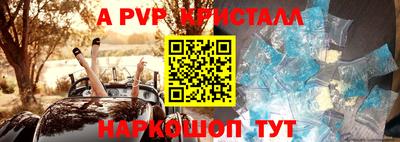 стаф Малгобек