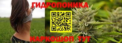 прущие крисы Мариинск