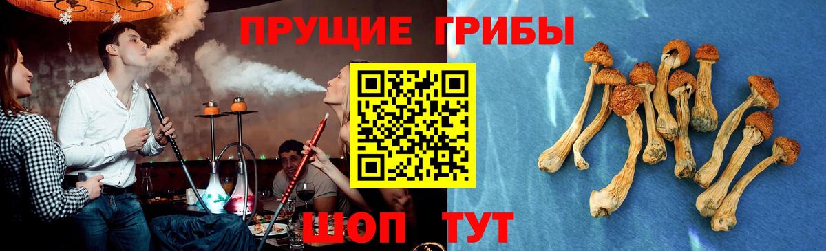 Псилоцибиновые грибы GOLDEN TEACHER Протвино