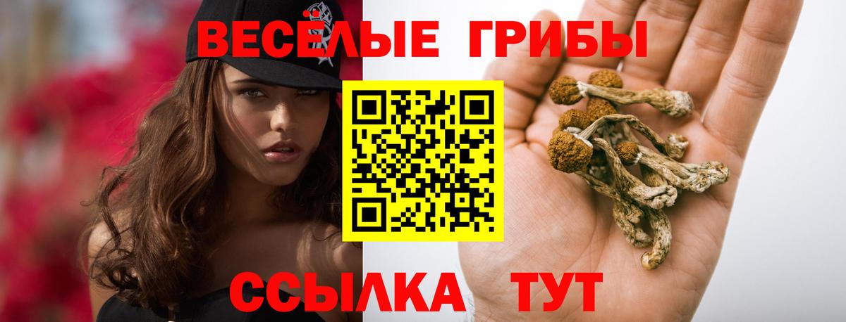 Протвино  Псилоцибиновые грибы мухоморы  Вход с VPN 
